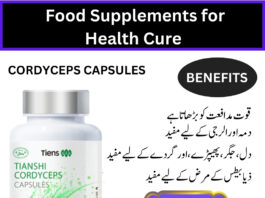 Cordyceps Capsules With Benefits 2025